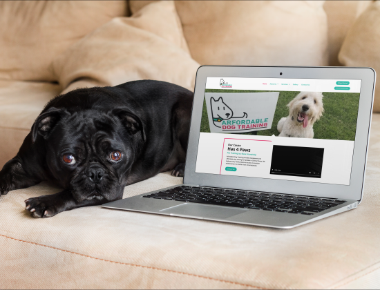 cute-dog-and-macbook-over-couch-1